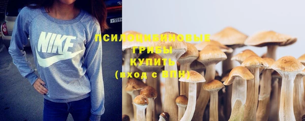молекула духа Горнозаводск