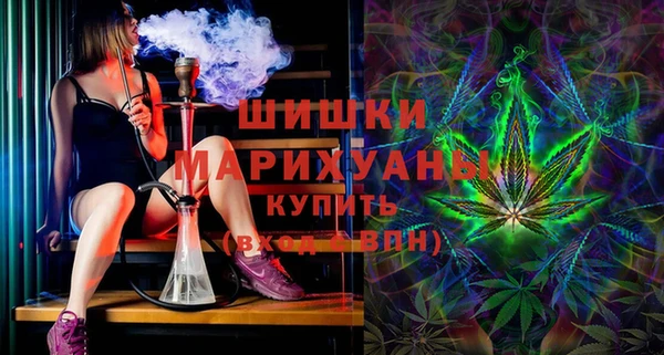 молекула духа Горнозаводск