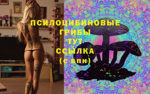 молекула духа Горнозаводск