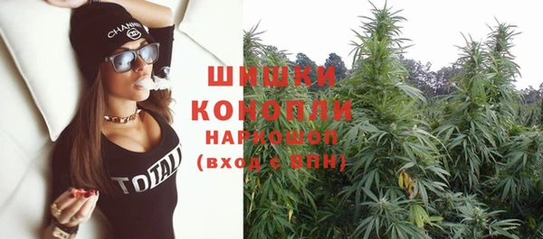 шишки Вязьма